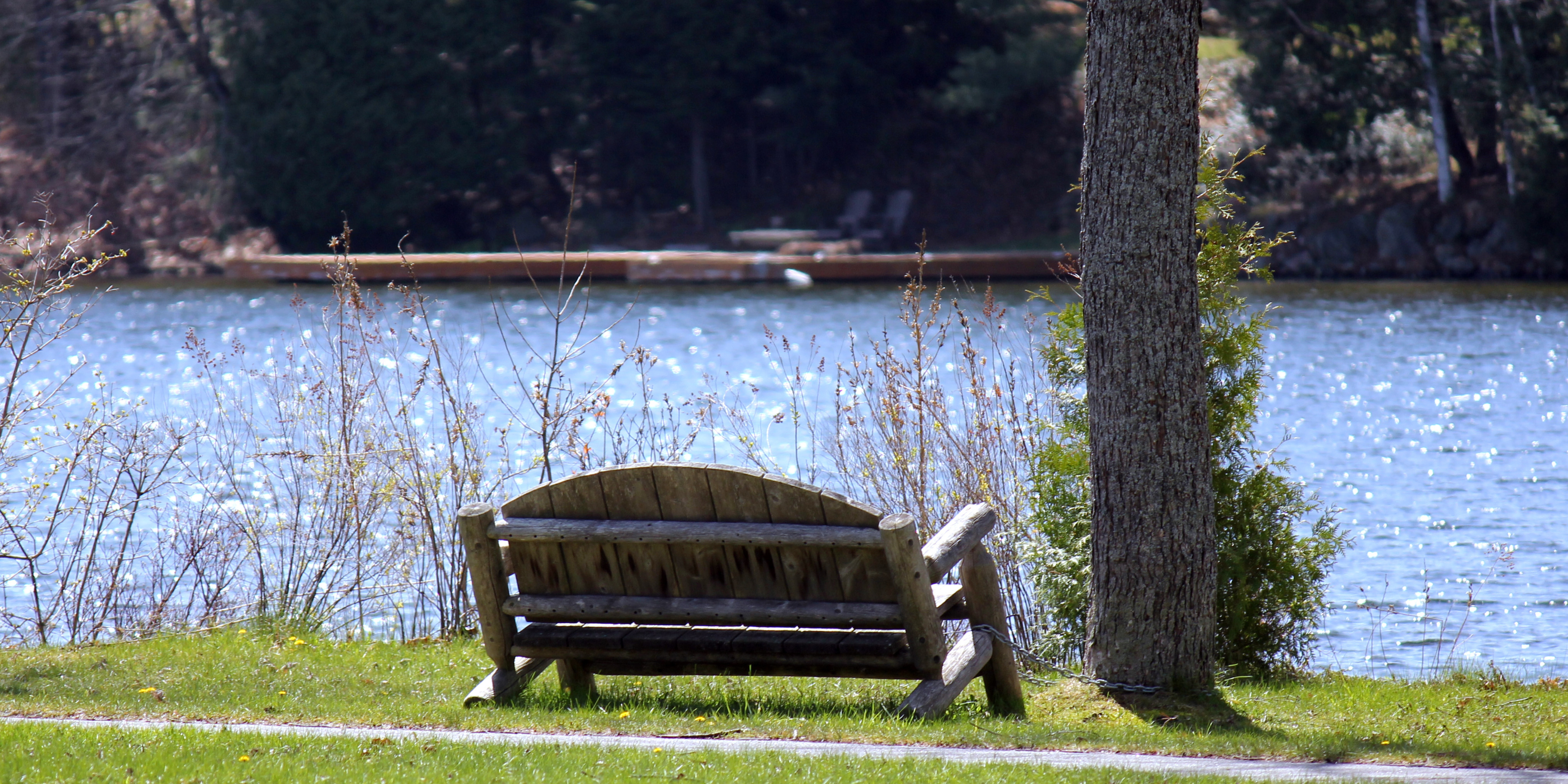 Park bench facing lake