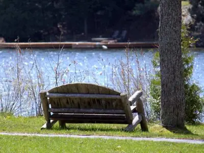 A park bench at the edge of a lake