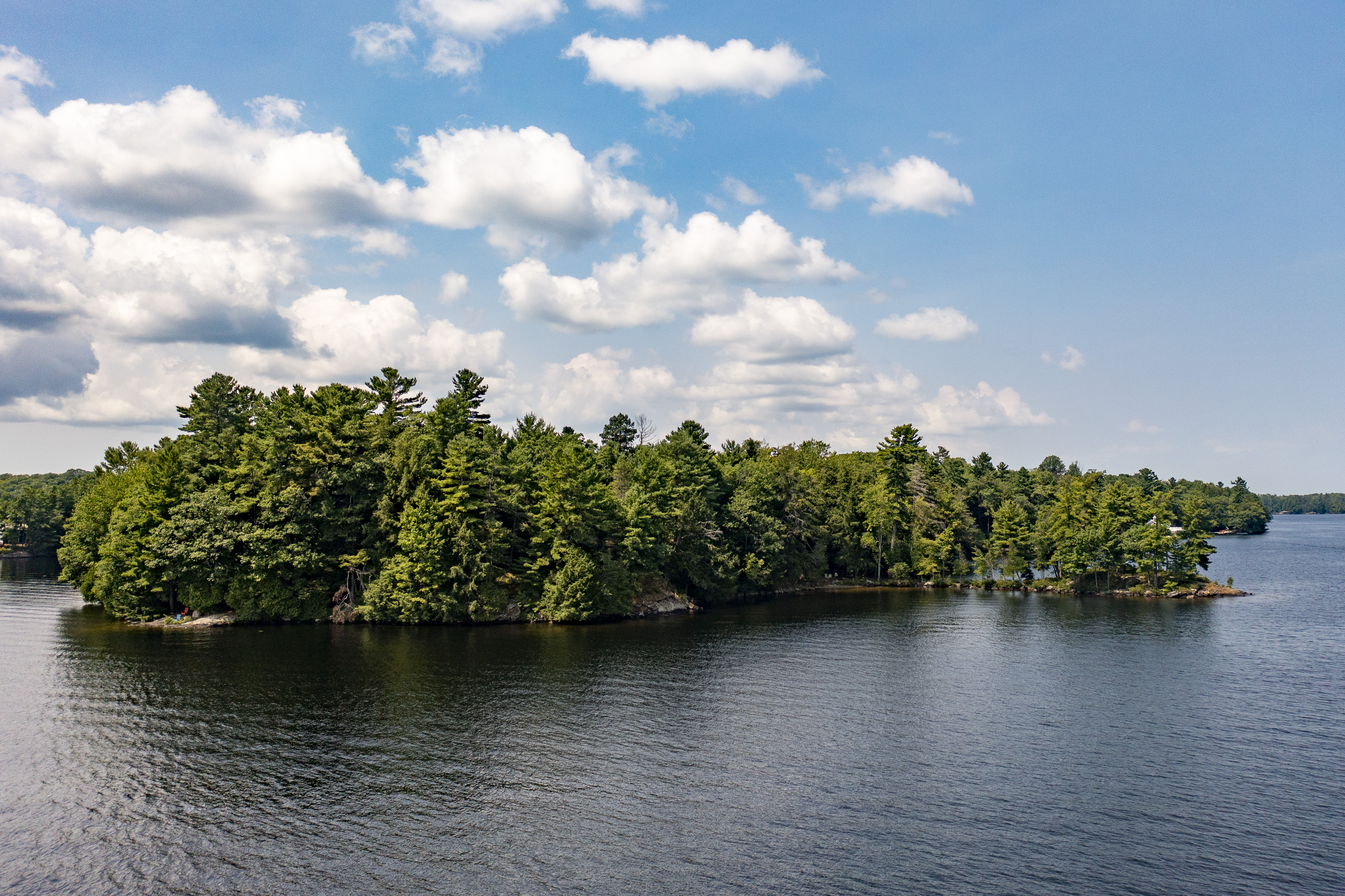 Image of lake and trees